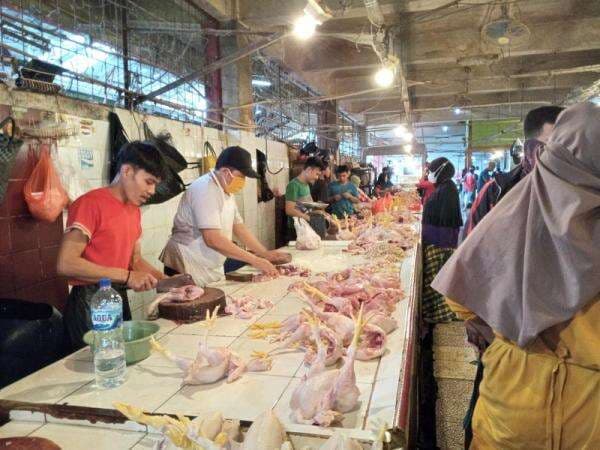 Bapanas Sebut Konsumsi Protein Masyarakat RI Masih Belum Ideal dan Capai Target Bapanas Sebut Konsumsi Protein Masyarakat RI Masih Belum Ideal dan Capai Target