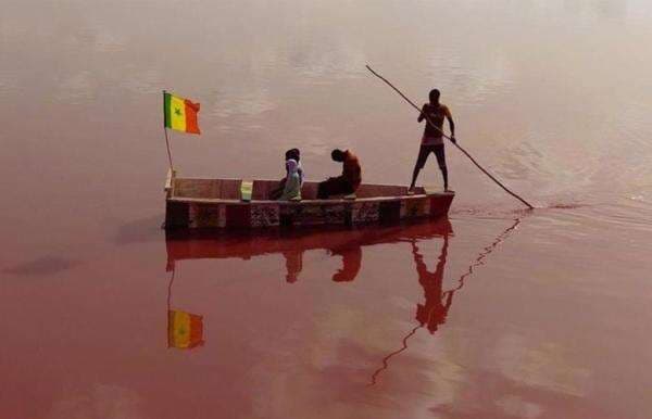 Indahnya! Air Danau Ini Berwarna Pink Indahnya! Air Danau Ini Berwarna Pink