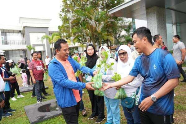 ASN Pemprov Sulbar Dapat Bibit Cabai Gratis dari Petani Milenial ASN Pemprov Sulbar Dapat Bibit Cabai Gratis dari Petani Milenial