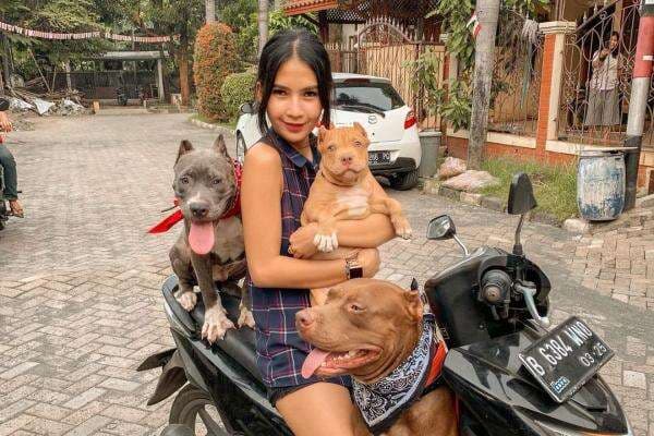 Deretan Kontroversi Soraya Rasyid, Artis yang Dituding Selingkuhan Andrew Andika Deretan Kontroversi Soraya Rasyid, Artis yang Dituding Selingkuhan Andrew Andika