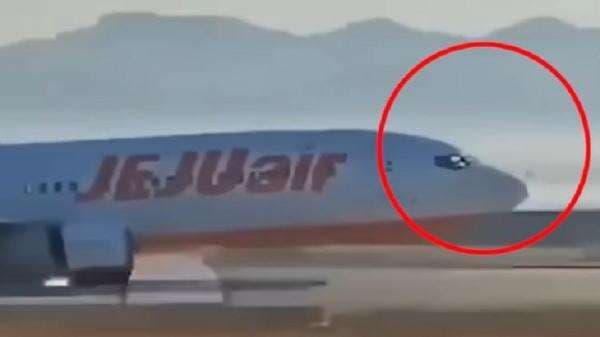 Viral Video Detik-Detik Terakhir Pilot Jeju Air Tarik Panel Kontrol di Kokpit sebelum Kecelakaan Tragis Viral Video Detik-Detik Terakhir Pilot Jeju Air Tarik Panel Kontrol di Kokpit sebelum Kecelakaan Tragis