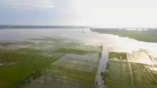 Diguyur Hujan selama 3 Hari, Ratusan Hektar Sawah di Bojonegoro Terendam Banjir