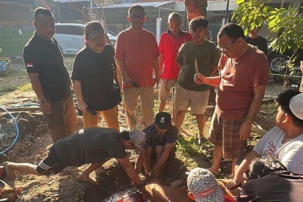 Disaksikan Wakil Wali Kota Surabaya, Promotor Musik Nasional Berkurban 3 Sapi dan 2 Kambing Disaksikan Wakil Wali Kota Surabaya, Promotor Musik Nasional Berkurban 3 Sapi dan 2 Kambing