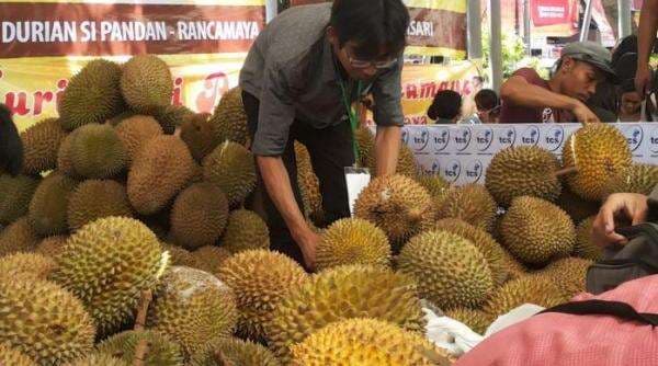 3 Negara Penghasil Durian Terbesar Selain Vietnam, Ada Indonesia? 3 Negara Penghasil Durian Terbesar Selain Vietnam, Ada Indonesia?