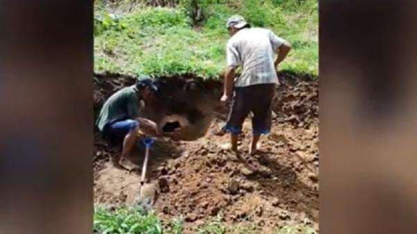 Warga Kepahiang Dikejutkan Penemuan Guci Tua Berisi 3 Tengkorak Manusia saat Cangkul Lahan Warga Kepahiang Dikejutkan Penemuan Guci Tua Berisi 3 Tengkorak Manusia saat Cangkul Lahan