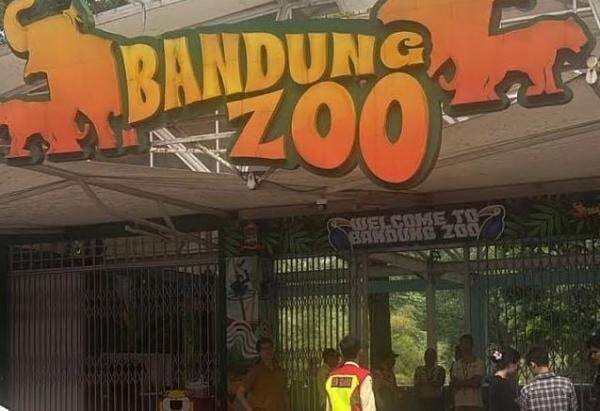 Garis Polisi Sudah Dibuka, Bandung Zoo Belum Bisa Dikunjungi Wisatawan Garis Polisi Sudah Dibuka, Bandung Zoo Belum Bisa Dikunjungi Wisatawan