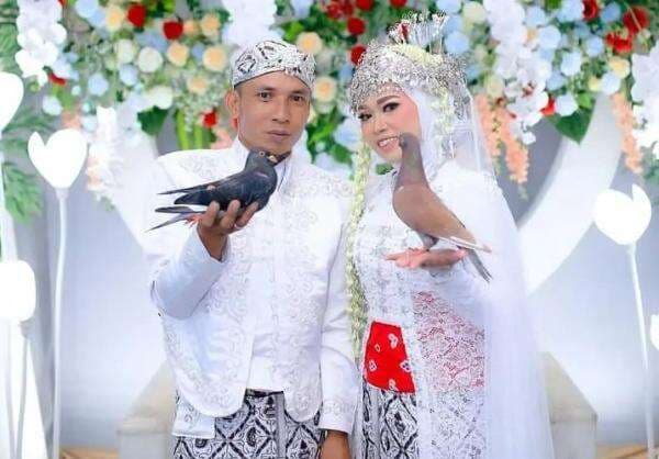 Unik, Pasangan Pengantin Ini Pilih Burung Dara sebagai Mahar Pernikahan Unik, Pasangan Pengantin Ini Pilih Burung Dara sebagai Mahar Pernikahan