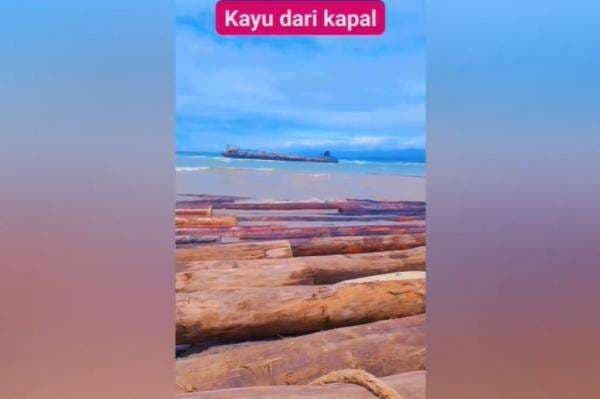 Viral Ribuan Kayu Besar Berdiameter 2 Meter Lebih Terdampar di Lampung, Dibawa dari Sumbar Viral Ribuan Kayu Besar Berdiameter 2 Meter Lebih Terdampar di Lampung, Dibawa dari Sumbar
