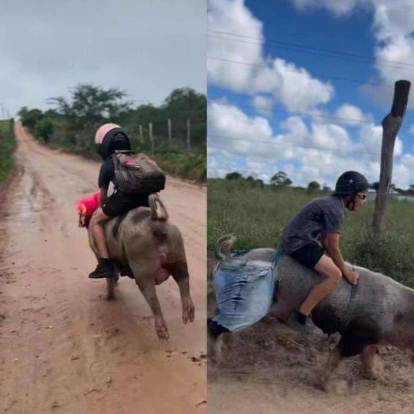 Viral, Bocah 9 Tahun Tunggangi Babi dan Kuda Berangkat ke Sekolah Viral, Bocah 9 Tahun Tunggangi Babi dan Kuda Berangkat ke Sekolah