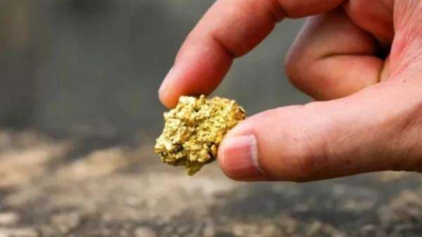 Petani Temukan Harta Karun Tambang Emas di Lahannya, Tapi Tidak Bisa Memilikinya Petani Temukan Harta Karun Tambang Emas di Lahannya, Tapi Tidak Bisa Memilikinya