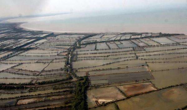 Dosen FEB UNAIR Sebut Munculnya HGB di Wilayah Laut Sidoarjo Ancam Hak Bersama dan Ekosistem Dosen FEB UNAIR Sebut Munculnya HGB di Wilayah Laut Sidoarjo Ancam Hak Bersama dan Ekosistem