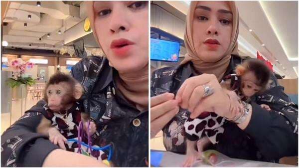 Viral Emak-Emak Bawa Monyet ke Mal, Ditegur Satpam malah Balik Nyolot! Viral Emak-Emak Bawa Monyet ke Mal, Ditegur Satpam malah Balik Nyolot!