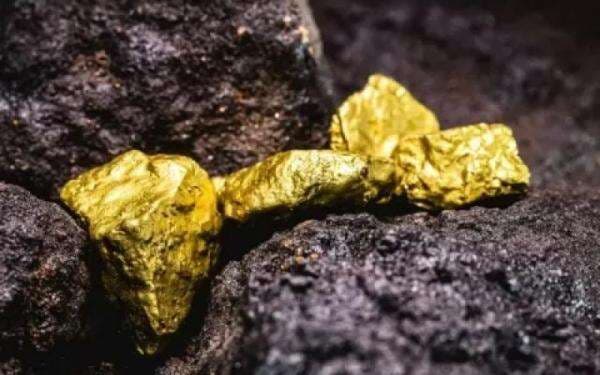 Profil Intam, Perusahaan Emas Petrindo (CUAN) yang Diisukan IPO Profil Intam, Perusahaan Emas Petrindo (CUAN) yang Diisukan IPO
