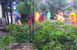 Enam Pohon Tumbang di Jakpus hingga Jaksel Usai Diguyur Hujan Lebat