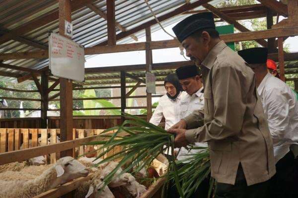 Entaskan Kemiskinan, Baznas RI Luncurkan Program Balai Ternak di Kabupaten Mojokerto Entaskan Kemiskinan, Baznas RI Luncurkan Program Balai Ternak di Kabupaten Mojokerto