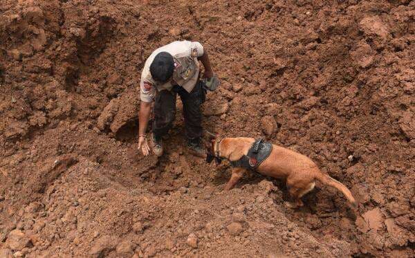 3 Warga Hilang Usai Banjir Mauponggo, Polisi Turunkan Anjing Pelacak 3 Warga Hilang Usai Banjir Mauponggo, Polisi Turunkan Anjing Pelacak