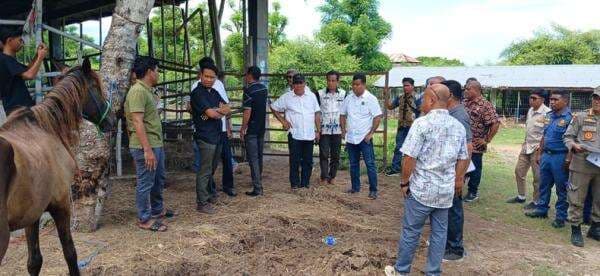 Pansus DPRD Sumba Timur Rekomendasikan Satgas Ternak, Larang Sementara Pengiriman Kuda Betina Pansus DPRD Sumba Timur Rekomendasikan Satgas Ternak, Larang Sementara Pengiriman Kuda Betina