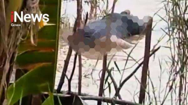 Geger, Seorang Pemancing Temukan Sosok Mayat Terapung di Bantaran Sungai Jeneberang Gowa Geger, Seorang Pemancing Temukan Sosok Mayat Terapung di Bantaran Sungai Jeneberang Gowa