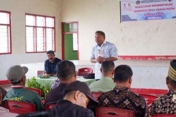 Bupati Manggarai Timur Sosialisasi Koperasi Desa Merah Putih Bupati Manggarai Timur Sosialisasi Koperasi Desa Merah Putih