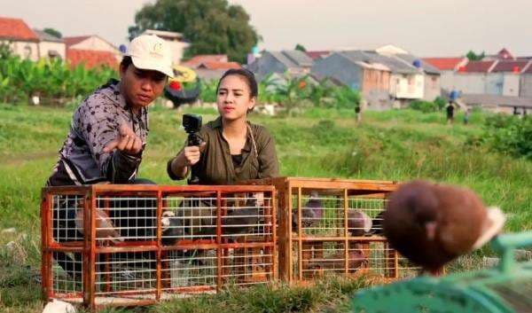 Azia Riza Serius Belajar Merpati, tapi Malah Bikin Pelatih Bingung! Azia Riza Serius Belajar Merpati, tapi Malah Bikin Pelatih Bingung!