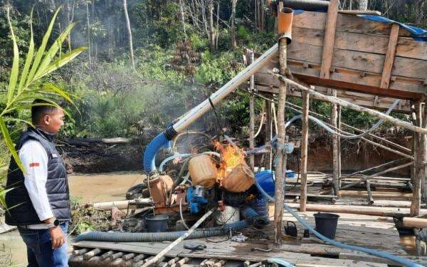 Tertibkan Tambang Emas Ilegal, Polisi dan Petugas Gabungan di Riau Diserang Penambang Tertibkan Tambang Emas Ilegal, Polisi dan Petugas Gabungan di Riau Diserang Penambang