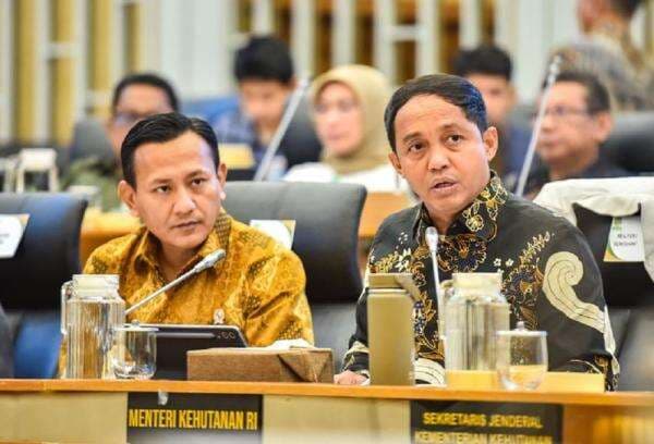 Menhut Raja Juli bakal Cabut Izin Pemanfaatan Hutan 20 Perusahaan, Luasnya 750.000 Hektare Menhut Raja Juli bakal Cabut Izin Pemanfaatan Hutan 20 Perusahaan, Luasnya 750.000 Hektare