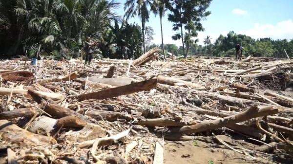Bareskrim Bongkar Pembalakan Liar di Sungai Tamiang Aceh, Begini Modusnya Bareskrim Bongkar Pembalakan Liar di Sungai Tamiang Aceh, Begini Modusnya