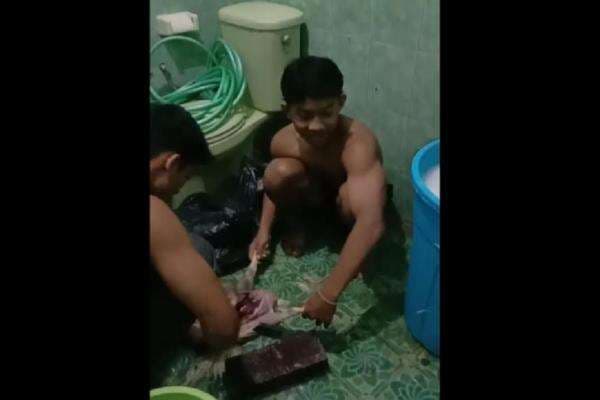 Fakta Atlet Binaraga Terpaksa Makan Ayam Tiren, Ternyata hanya Terima 10 Persen Dana Operasional Fakta Atlet Binaraga Terpaksa Makan Ayam Tiren, Ternyata hanya Terima 10 Persen Dana Operasional