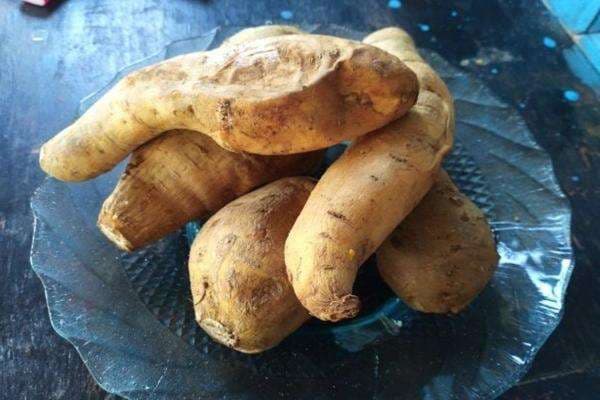 Fakta Ilmiah Kenapa Ubi Cilembu Lebih Enak Jika Dipanggang Fakta Ilmiah Kenapa Ubi Cilembu Lebih Enak Jika Dipanggang