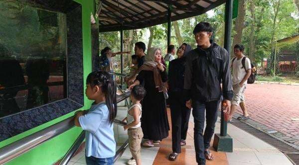 Jakarta Aman, Ribuan Warga Padati ‎Taman Margasatwa Ragunan Jakarta Aman, Ribuan Warga Padati ‎Taman Margasatwa Ragunan
