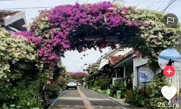 Viral Ketua RT Hias Jalan Perumahan Penuh Bunga, Kini Jadi Ajang Swafoto Viral Ketua RT Hias Jalan Perumahan Penuh Bunga, Kini Jadi Ajang Swafoto