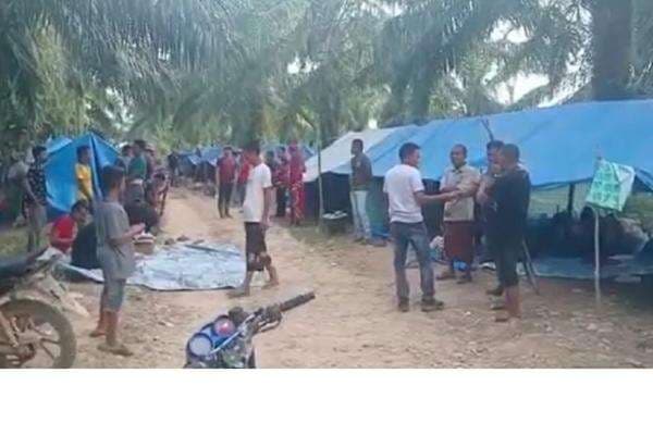 Rumah Hilang Disapu Banjir, Warga Aceh Utara 11 Hari Mengungsi di Kebun Sawit Rumah Hilang Disapu Banjir, Warga Aceh Utara 11 Hari Mengungsi di Kebun Sawit