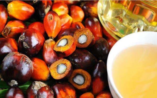 Djunaidi Nur Tak Lagi Menjabat Direktur TBLA dan BUDI Djunaidi Nur Tak Lagi Menjabat Direktur TBLA dan BUDI