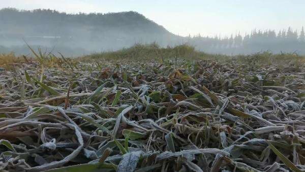 Viral Fenomena Embun Upas Selimuti Dieng Banjarnegara, Begini Penjelasan BMKG Viral Fenomena Embun Upas Selimuti Dieng Banjarnegara, Begini Penjelasan BMKG