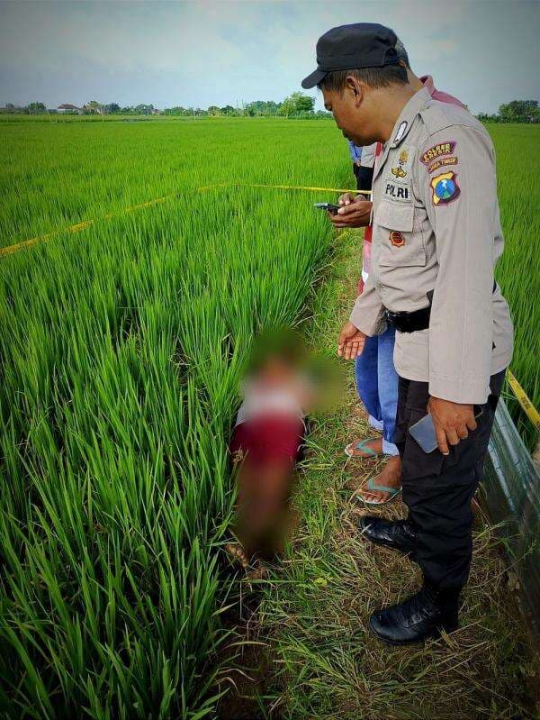 Pria Tanpa Identitas Ditemukan Tewas di Sawah Wonosari, Diduga Tersengat Listrik Pria Tanpa Identitas Ditemukan Tewas di Sawah Wonosari, Diduga Tersengat Listrik