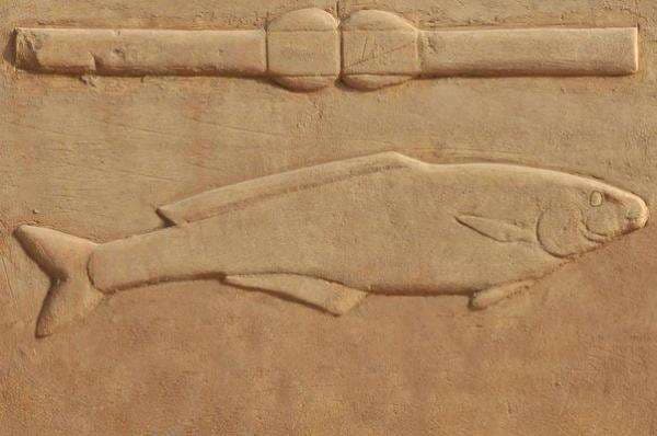 Firaun anggap Ikan Lele Itu Tuhan, Ceritanya Diabadikan di Lukisan dan Patung Firaun anggap Ikan Lele Itu Tuhan, Ceritanya Diabadikan di Lukisan dan Patung