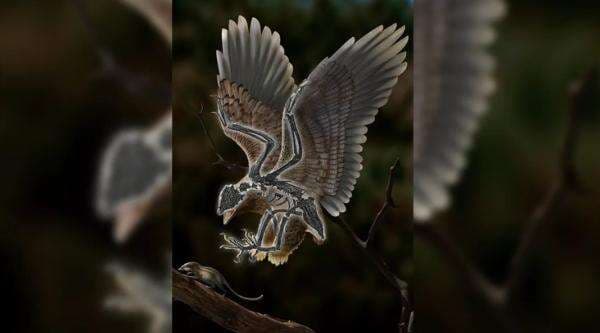 Fosil Burung Purba dengan Kepala Mirip T-Rex Buat Bingung para Ilmuwan Fosil Burung Purba dengan Kepala Mirip T-Rex Buat Bingung para Ilmuwan