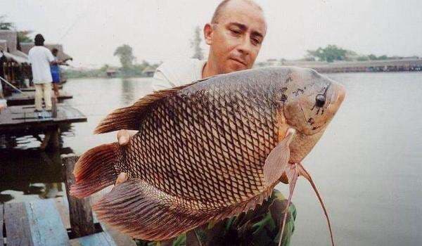 Gak Harus Salmon, Ini Manfaat Konsumsi Ikan Lokal untuk Anak Gak Harus Salmon, Ini Manfaat Konsumsi Ikan Lokal untuk Anak