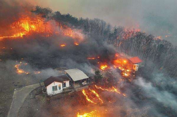 Ganasnya Kebakaran Terbesar Korsel: 26 Orang Tewas, Helikopter Pemadam Malah Jatuh Ganasnya Kebakaran Terbesar Korsel: 26 Orang Tewas, Helikopter Pemadam Malah Jatuh
