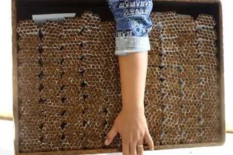 Gegara PP 28/2024, Ancaman Ekonomi dan PHK di Depan Mata Gegara PP 28/2024, Ancaman Ekonomi dan PHK di Depan Mata