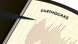  Gempa M3,0 Guncang Tenggara Teluk Wondama, Pusatnya di Darat   