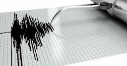 Gempa M4,9 Guncang Air Buaya Maluku