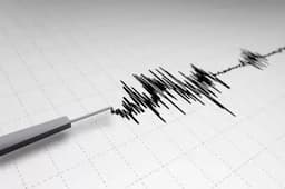 Gempa M4,9 Guncang Tambolaka NTT, Getaran Terasa hingga NTB