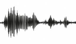 Gempa Magnitudo 6,5 Guncang Kepulauan Bonin Jepang