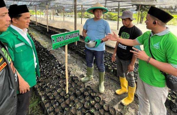 GP Ansor Tanam 200 Ribu Bibit Kakao di Sulbar, Addin: Ikhtiar Ketahanan Pangan GP Ansor Tanam 200 Ribu Bibit Kakao di Sulbar, Addin: Ikhtiar Ketahanan Pangan