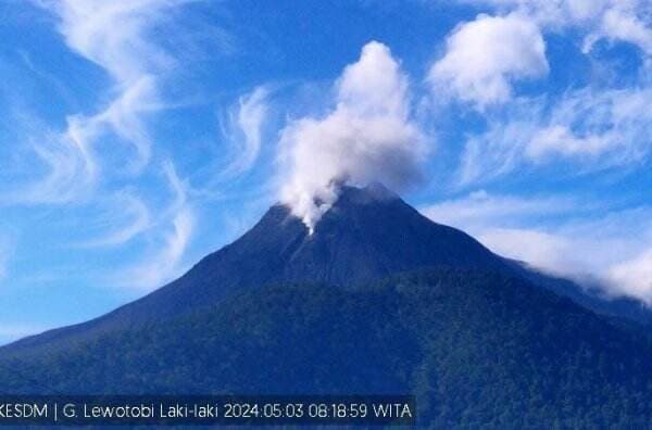 Gunung Lewotobi di Flores Timur Semburkan Abu Vulkanik Putih Kelabu 200 Meter