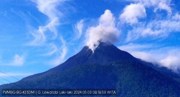 Gunung Lewotobi Laki-Laki Erupsi, Semburkan Abu Vulkanik 200 Meter