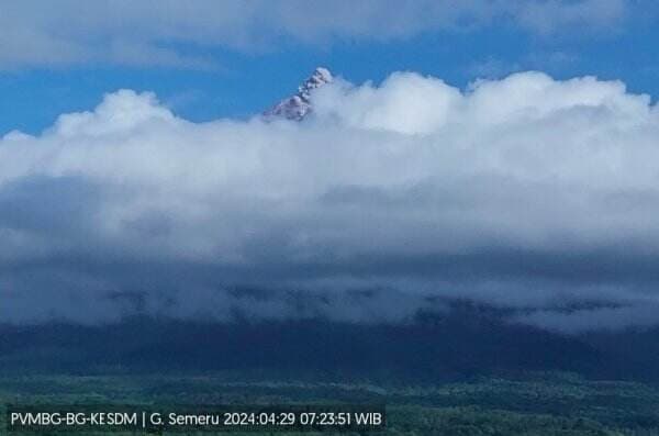 Gunung Semeru Erupsi, Luncurkan Abu Vulkanik Kelabu Setinggi 700 Meter