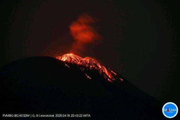 Gunung Ili Lewotolok Lontarkan Lava Pijar 500 Meter, Begini Penampakannya Gunung Ili Lewotolok Lontarkan Lava Pijar 500 Meter, Begini Penampakannya