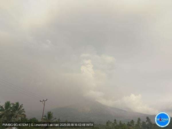 Gunung Lewotobi Laki-Laki Kembali Erupsi, Tinggi Kolom Letusan Capai 2.000 Meter Gunung Lewotobi Laki-Laki Kembali Erupsi, Tinggi Kolom Letusan Capai 2.000 Meter